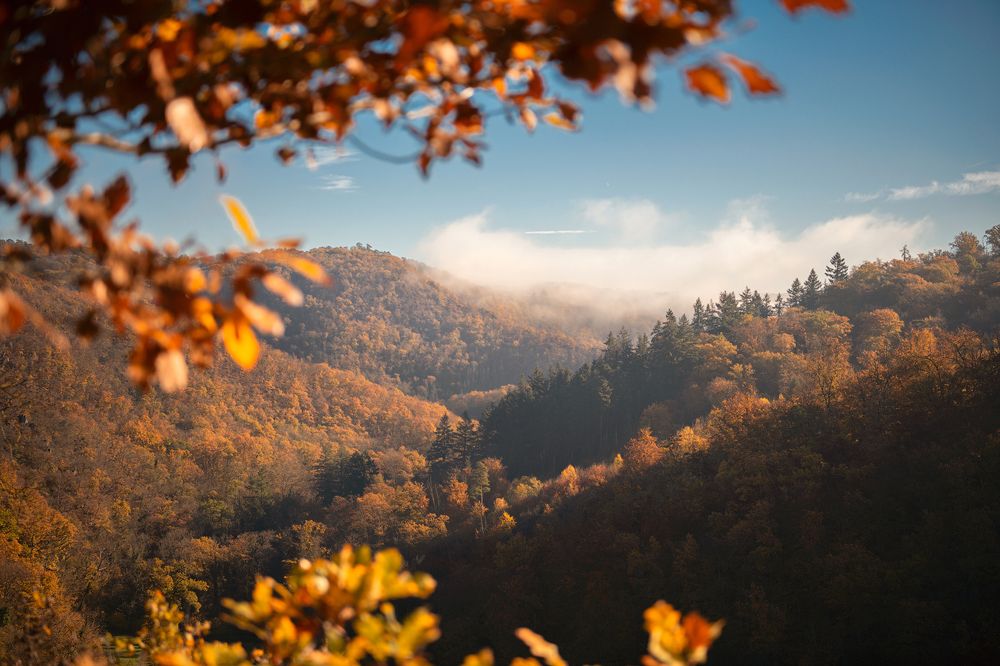 Photograph by Юлия Борт