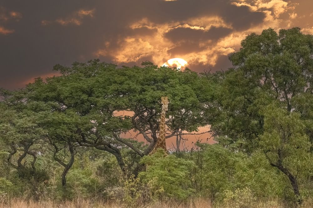 Photograph by PRATYUSH HALDER