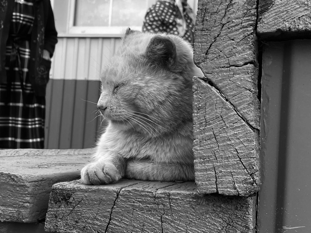 Photograph by Аскар