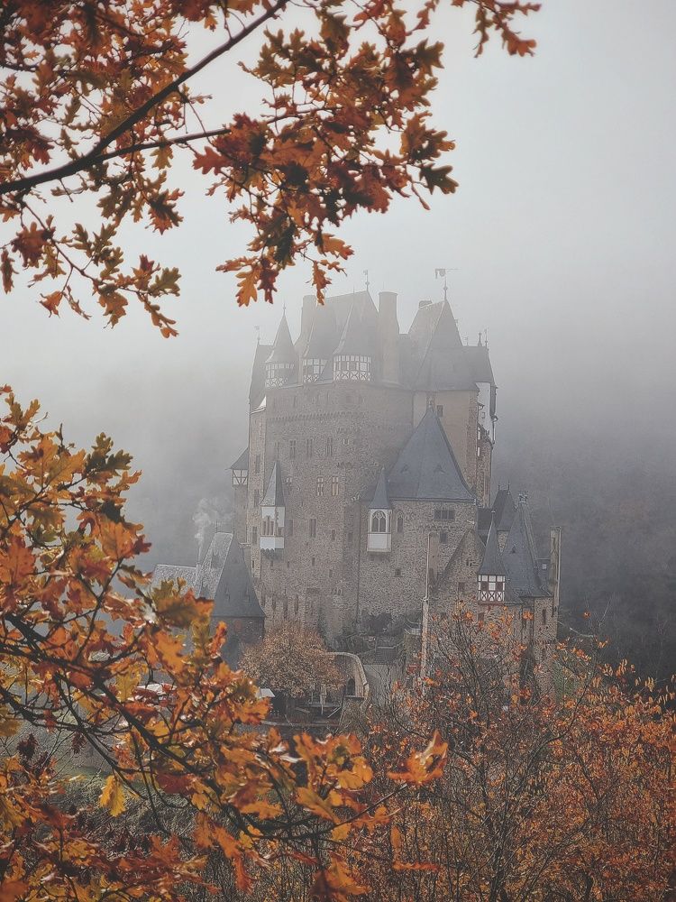 Photograph by Юлия Борт