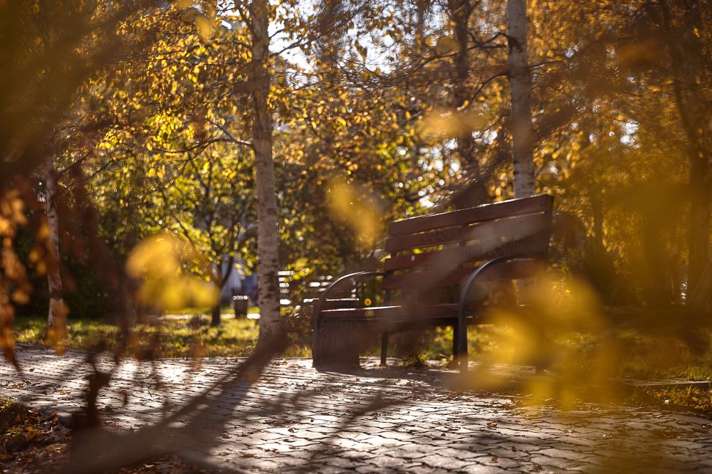 Photograph by Александр