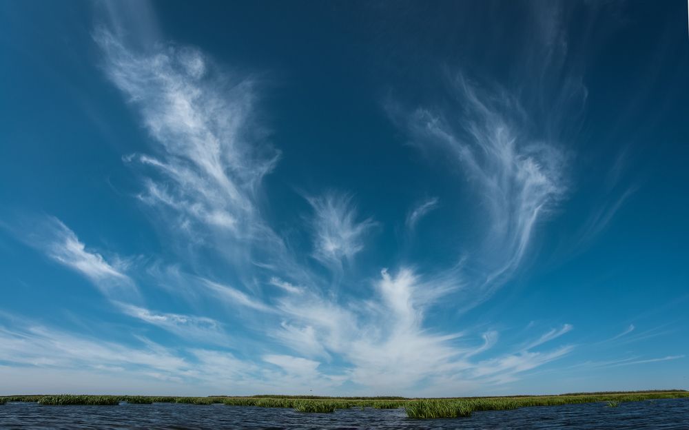 Photograph by Максимова Дария