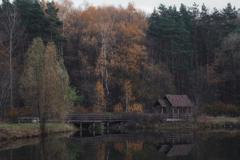 Поздняя осень в Тропарёвском лесопарке