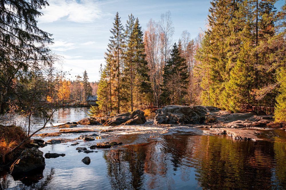 Photograph by Алена Устинович