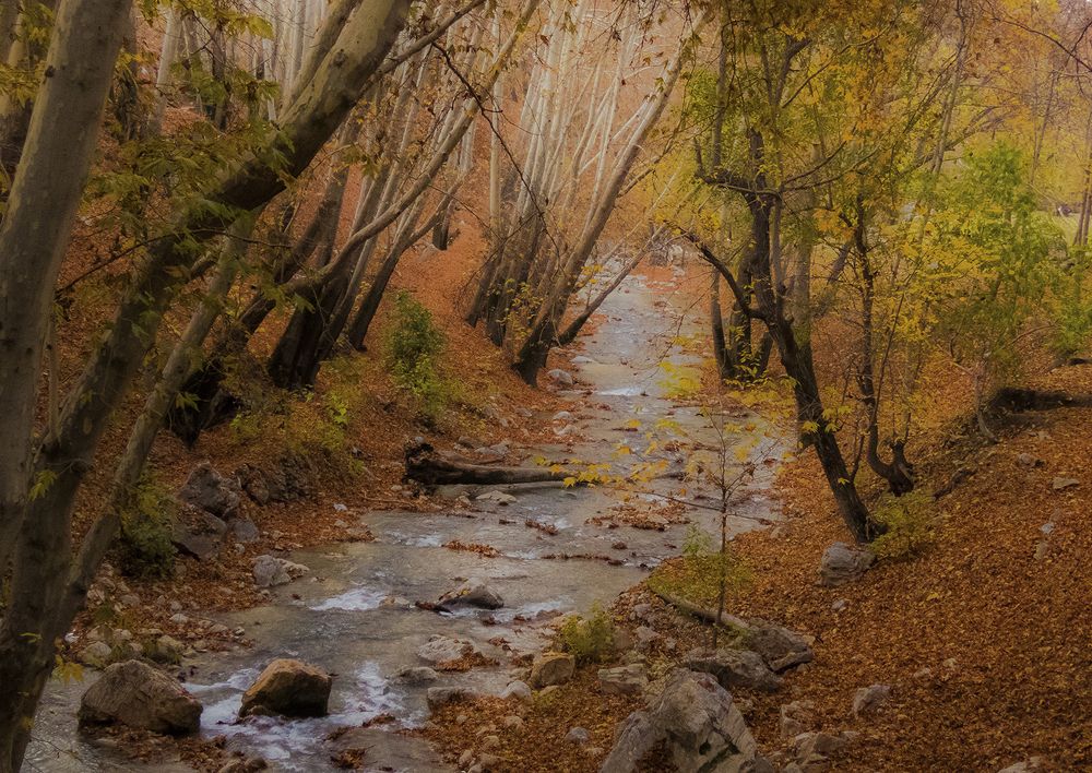 Photograph by mohammadjavad rostamiahmadvandi