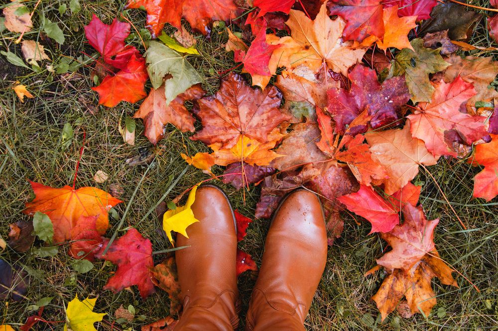 Фотография автора Кристина Догодька