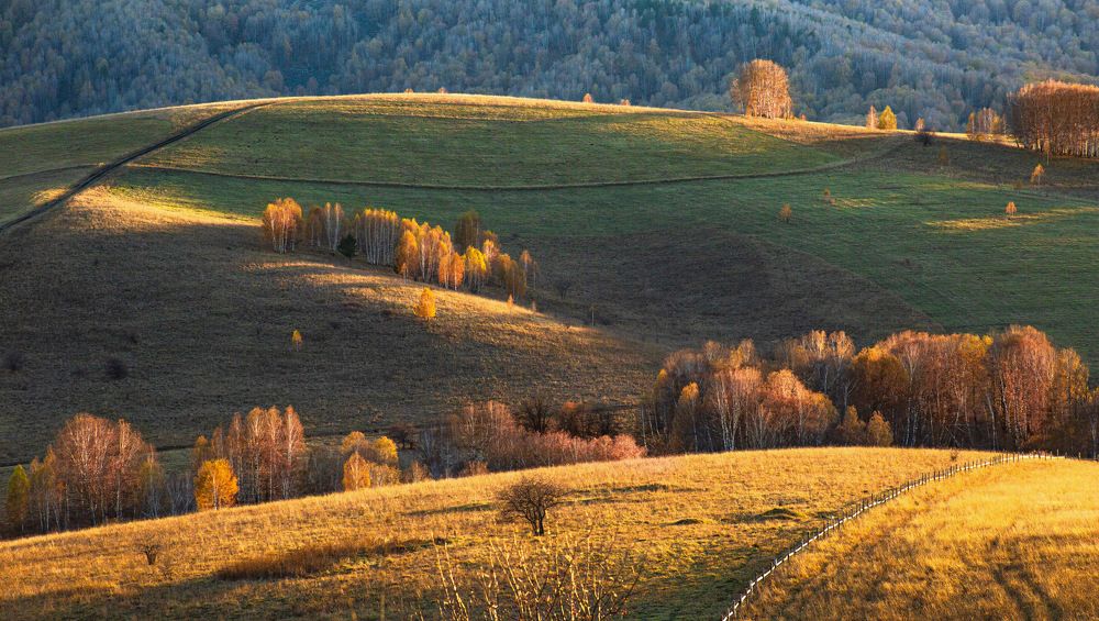 Photograph by Марина Бузина