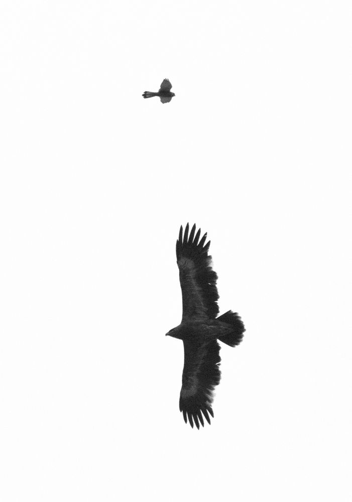 Photograph by mohammadjavad rostamiahmadvandi