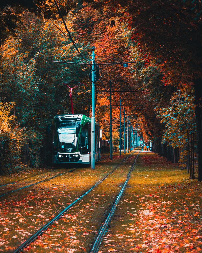 Фотография автора Андрей Жуков