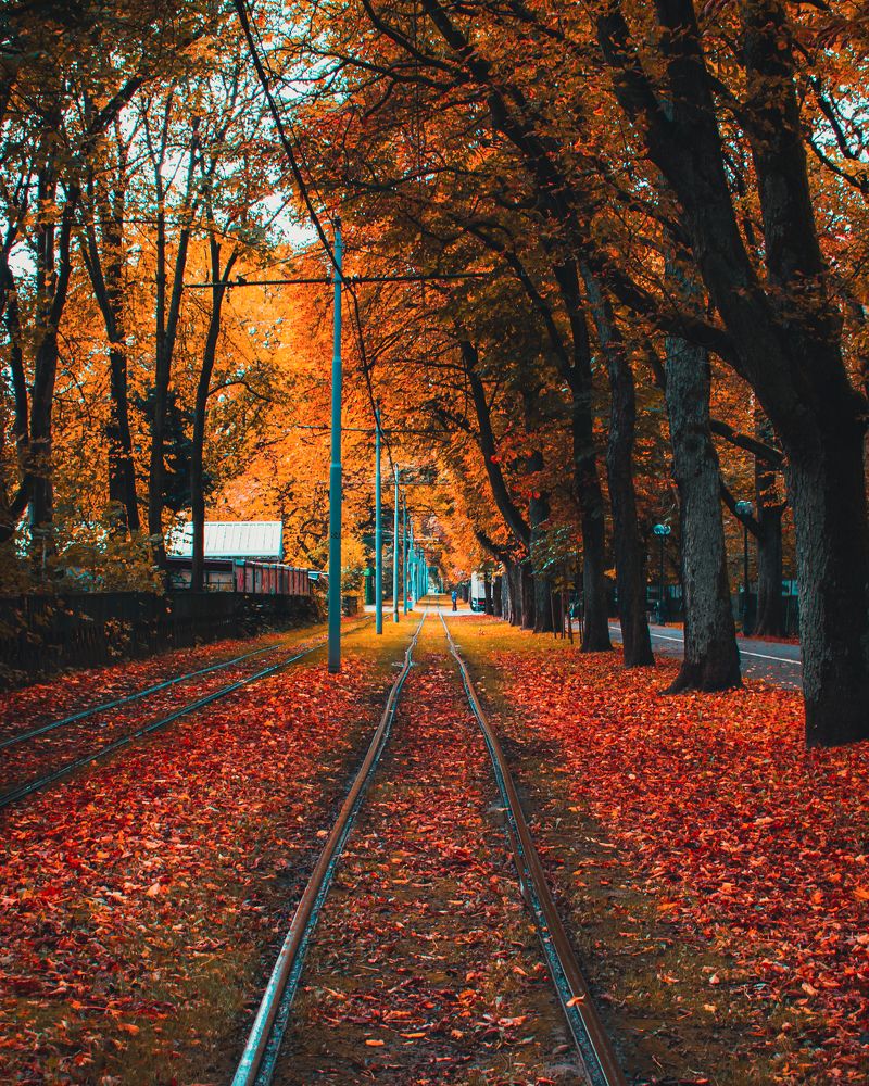 Фотография автора Андрей Жуков