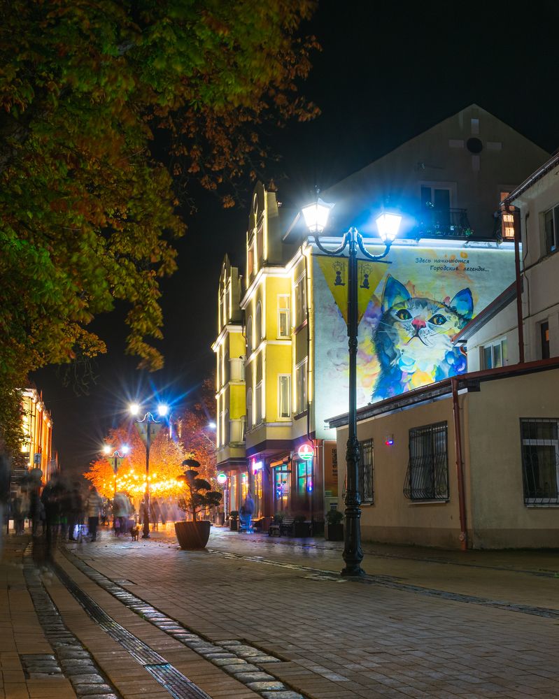 Фотография автора Андрей Жуков