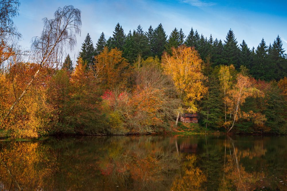 Photograph by LYUDMYLA POKRYSHEN