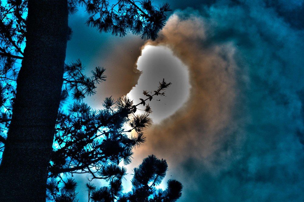 Photograph by JOSE LIMA RODRIGUES