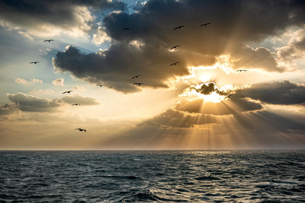Photograph by Marcos Lara Repiso