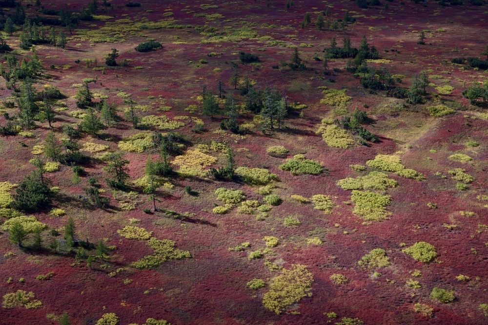Фотография автора Ирина Копылова
