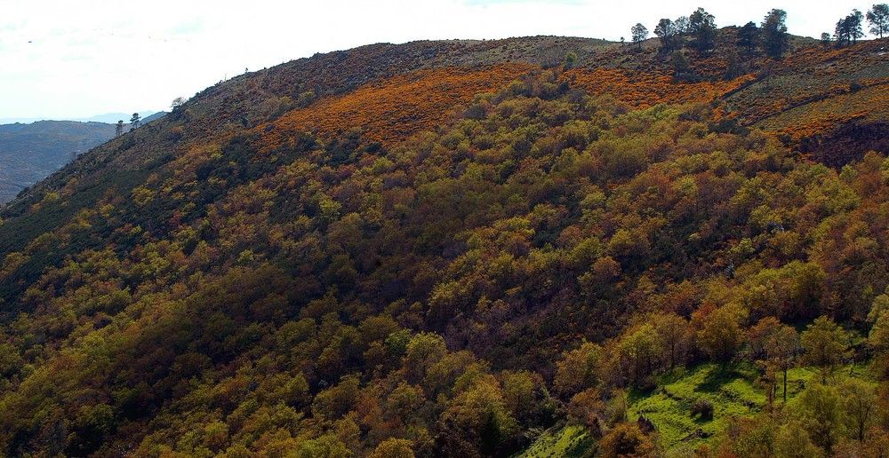 Photograph by JOSE LIMA RODRIGUES