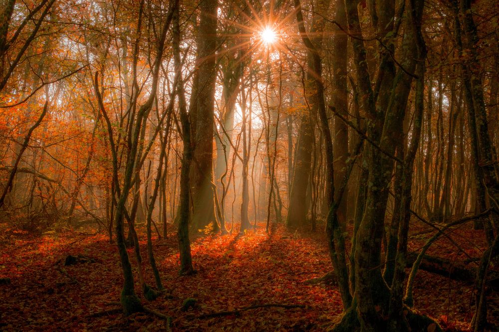 Photograph by LYUDMYLA POKRYSHEN