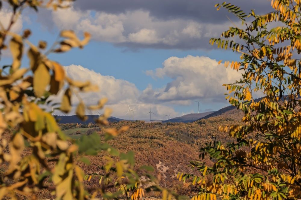 Photograph by Sunčica Andrejević