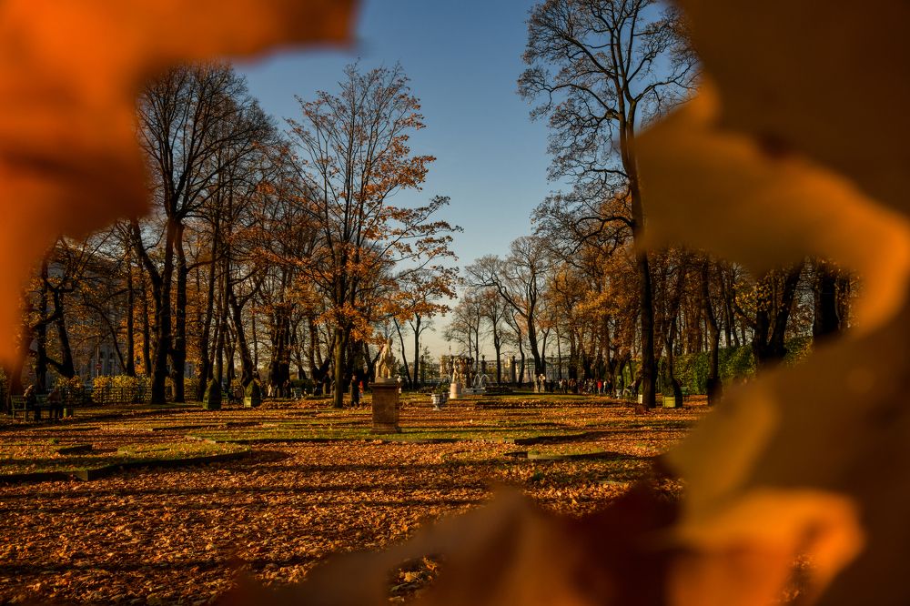 Фотография автора Александра Елагина