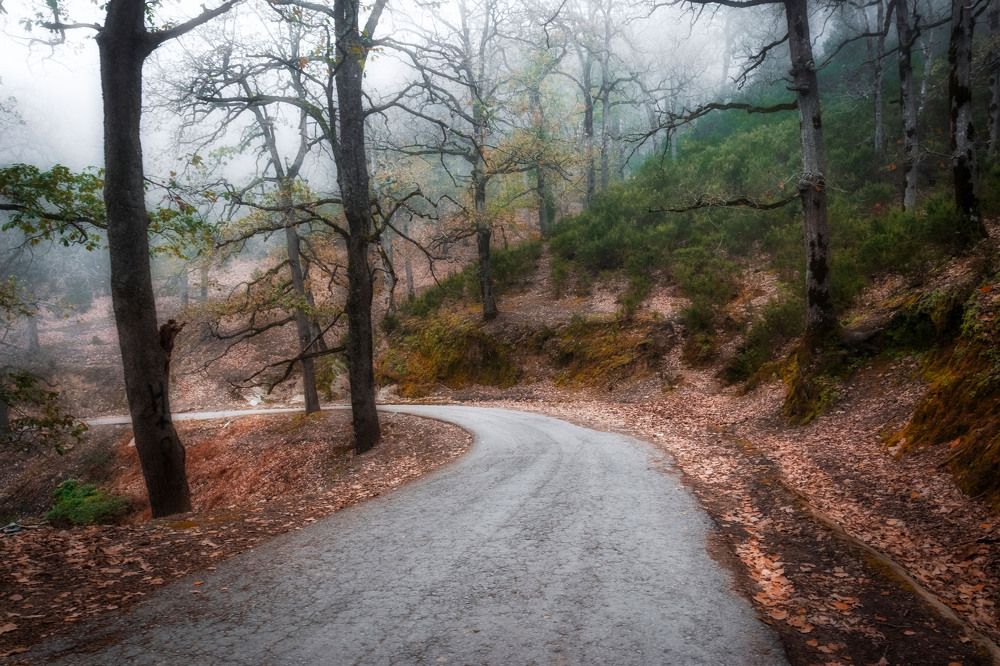 Photograph by Fehd Ghammit