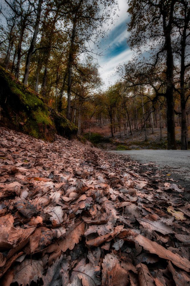 Photograph by Fehd Ghammit