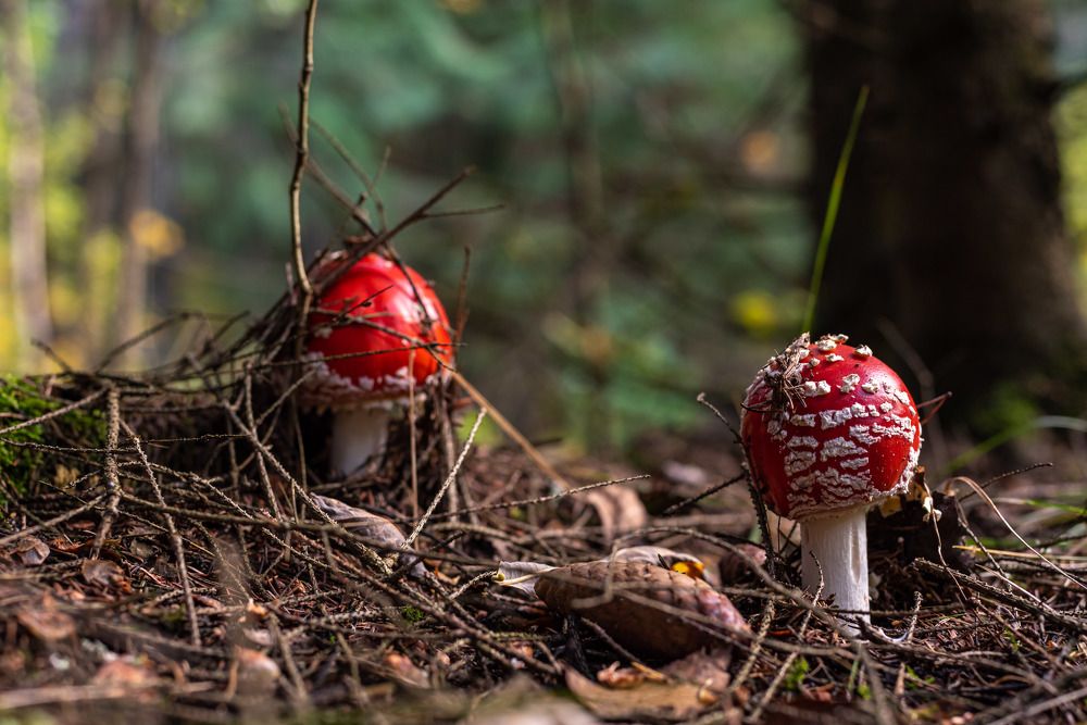 Photograph by Andrey Chernov
