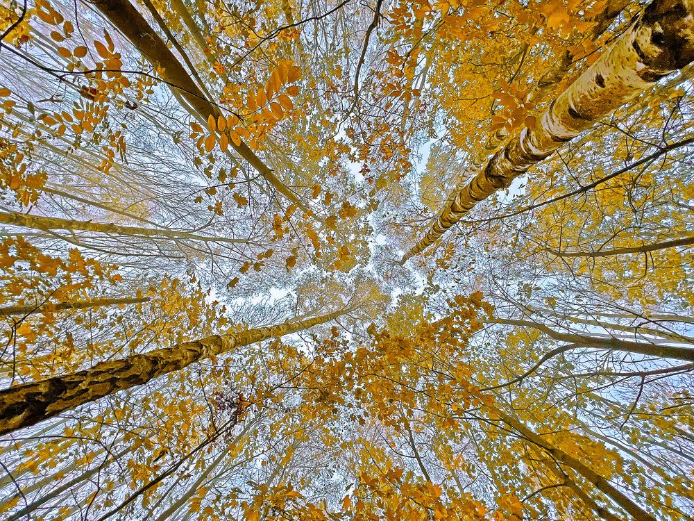 Photograph by LYUDMYLA POKRYSHEN