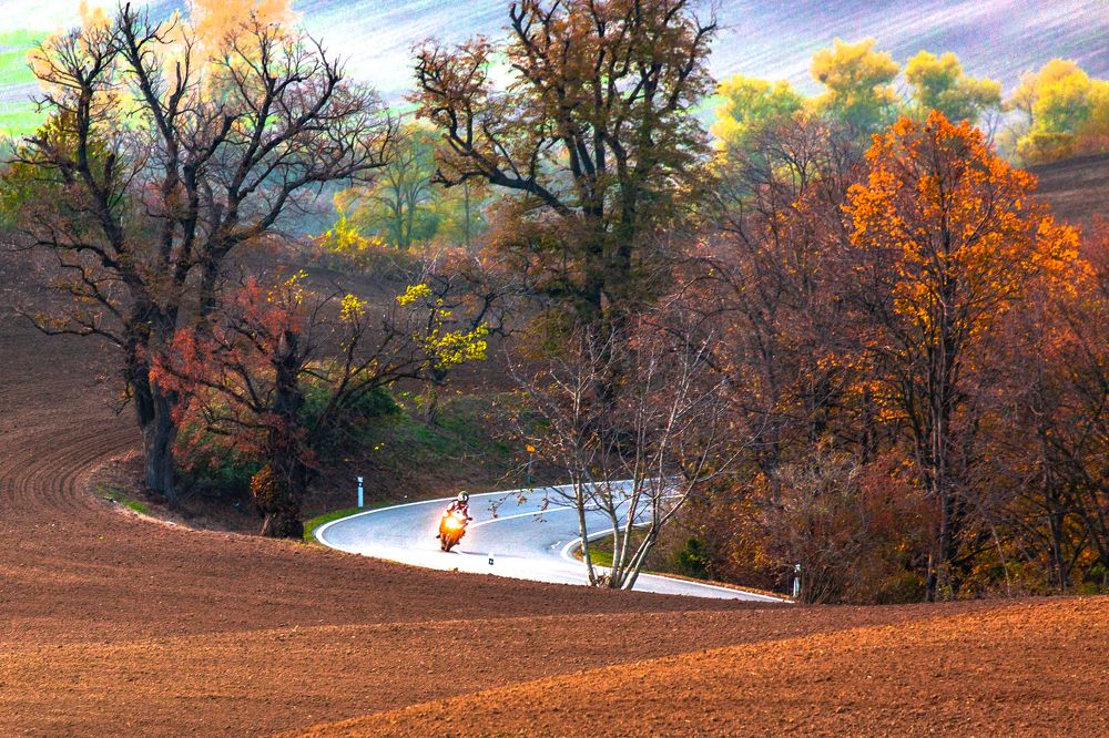 Photograph by Геннадий