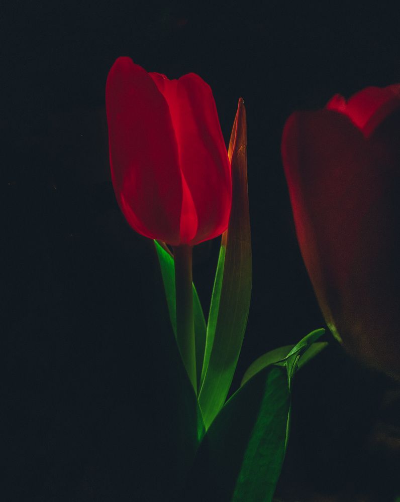 Photograph by Наталья Посашко