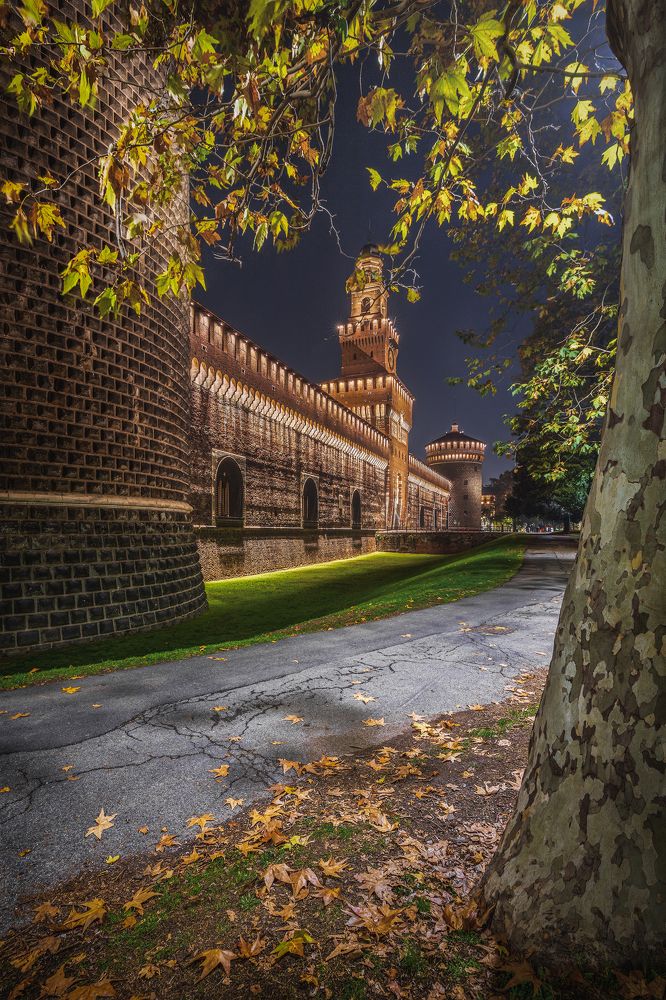 Photograph by Сергей Быков