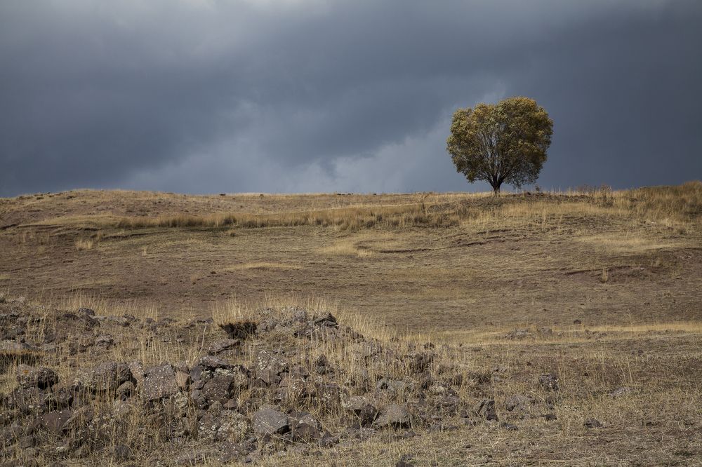 Alone over the land of rocks