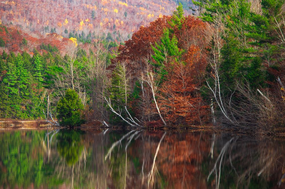 Photograph by Николай Мироненко