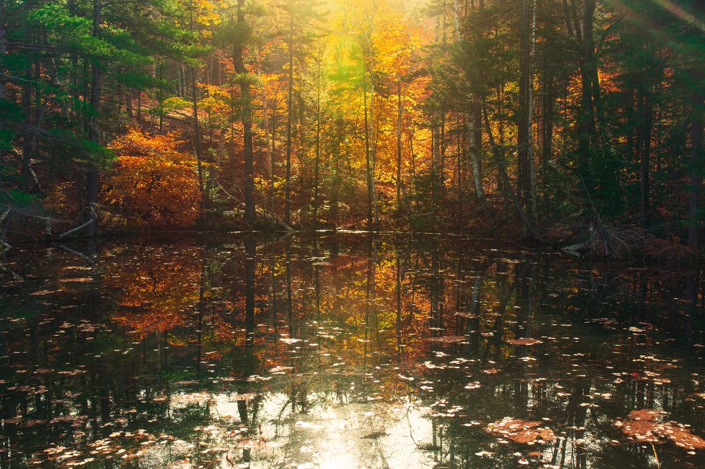 Photograph by Николай Мироненко