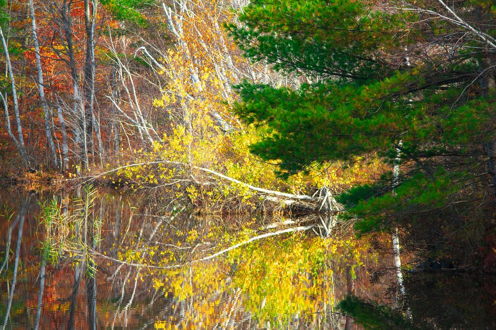 Photograph by Николай Мироненко