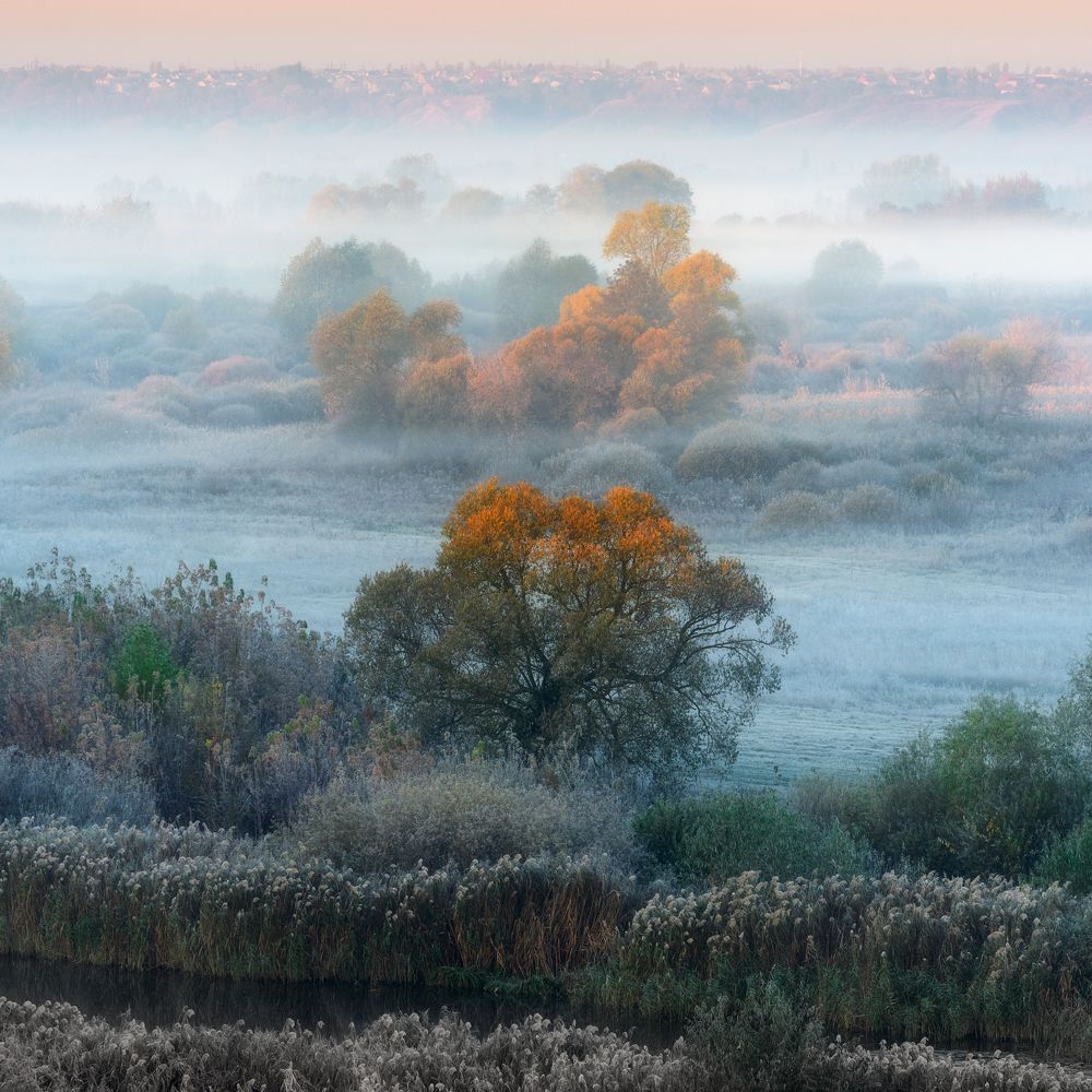 Туманное утро