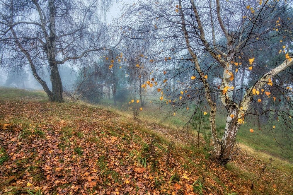 Photograph by Jānis Sērdienis