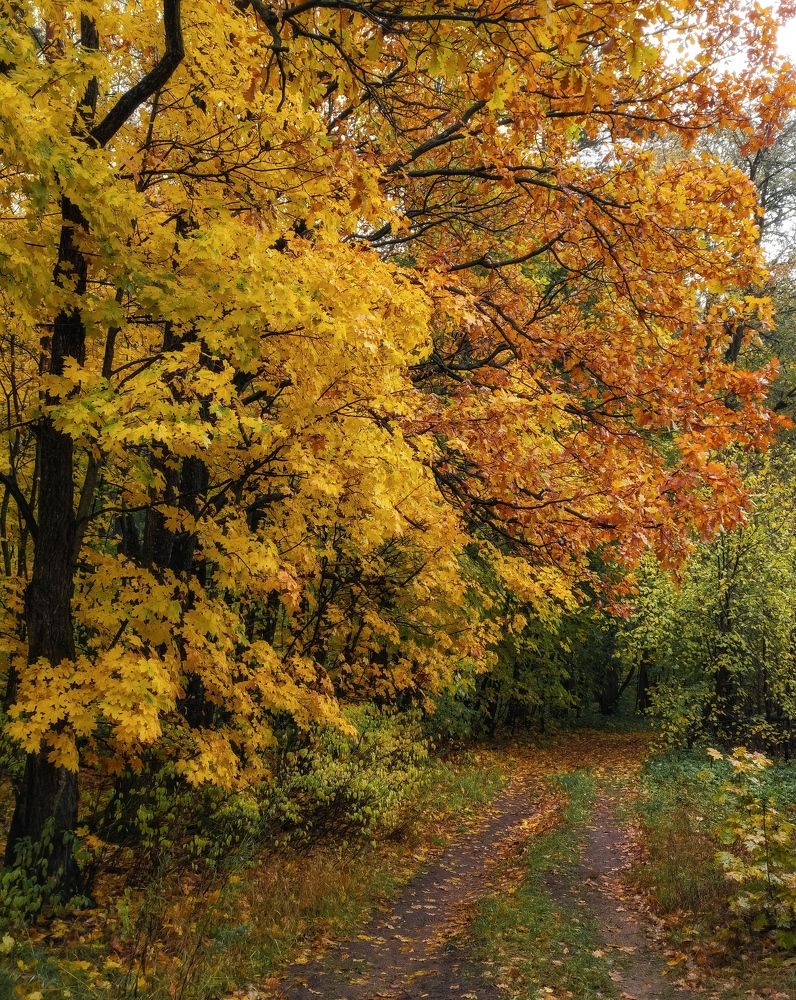 Photograph by Сергей Миронов