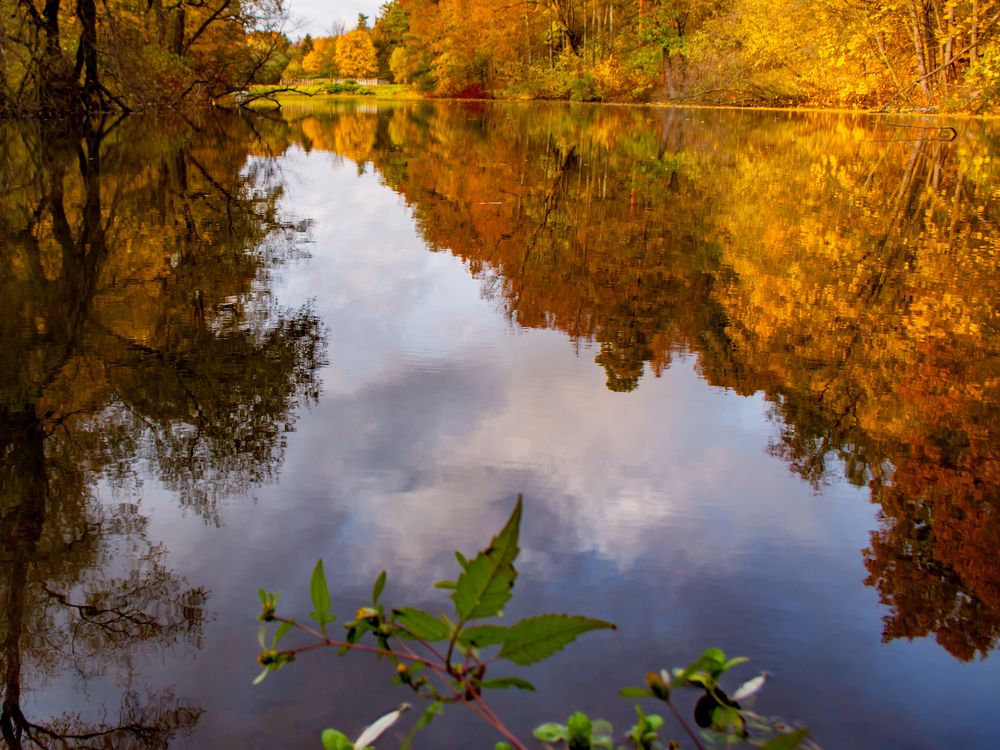 Photograph by Ольга Заповедная
