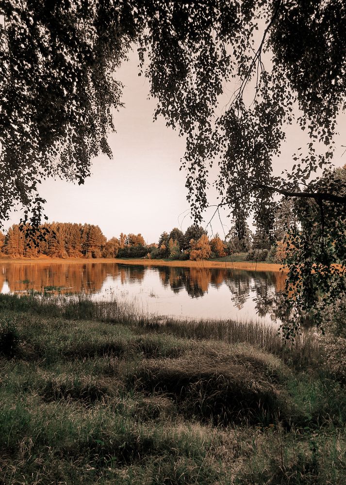 Photograph by Светлана Моисеева