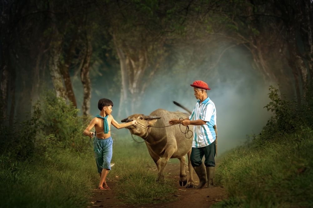 Photograph by Ross McGree