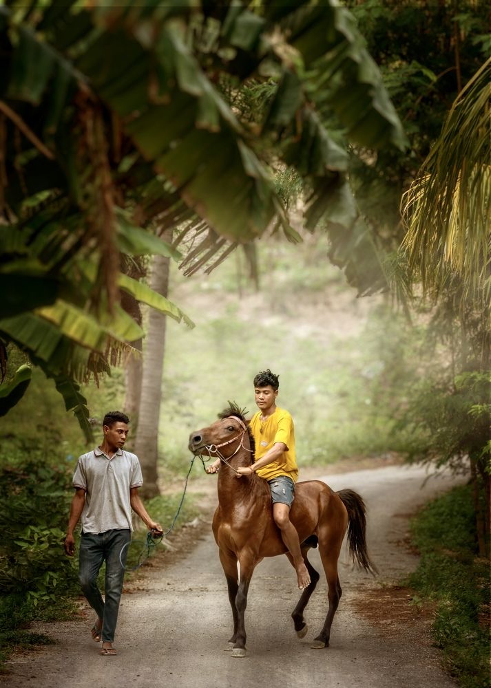 Фотография автора Ross McGree