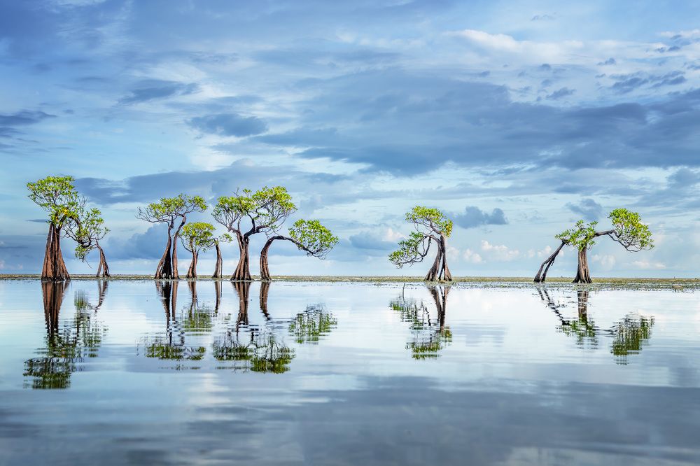 Фотография автора Ross McGree