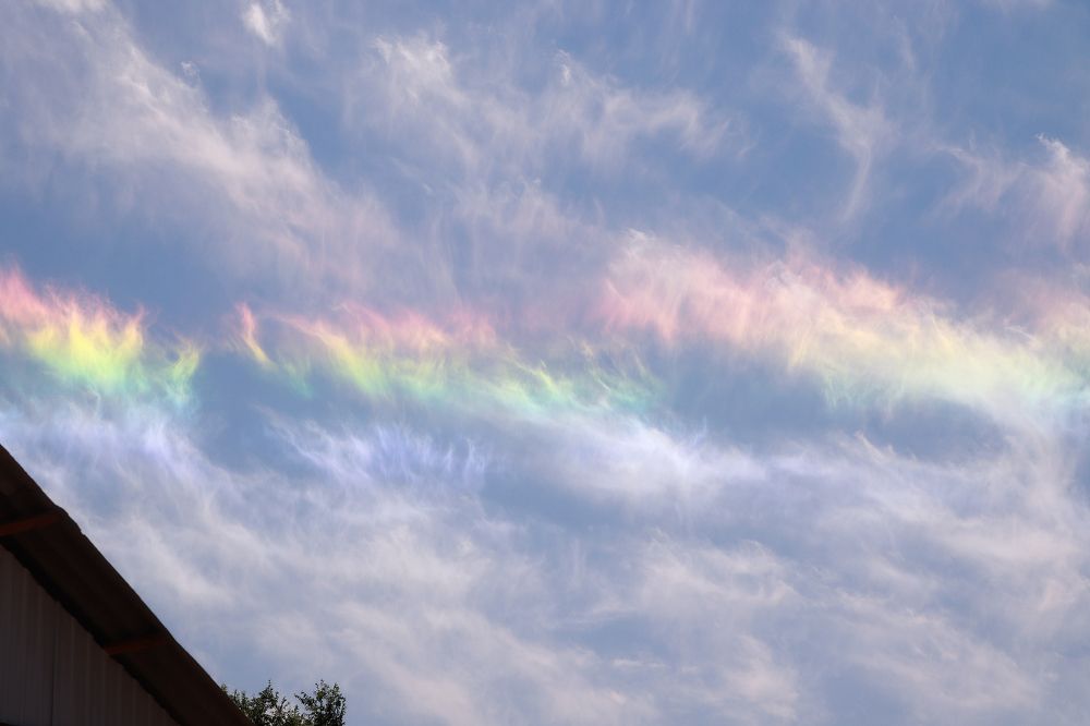 Photograph by Елена Колесникова