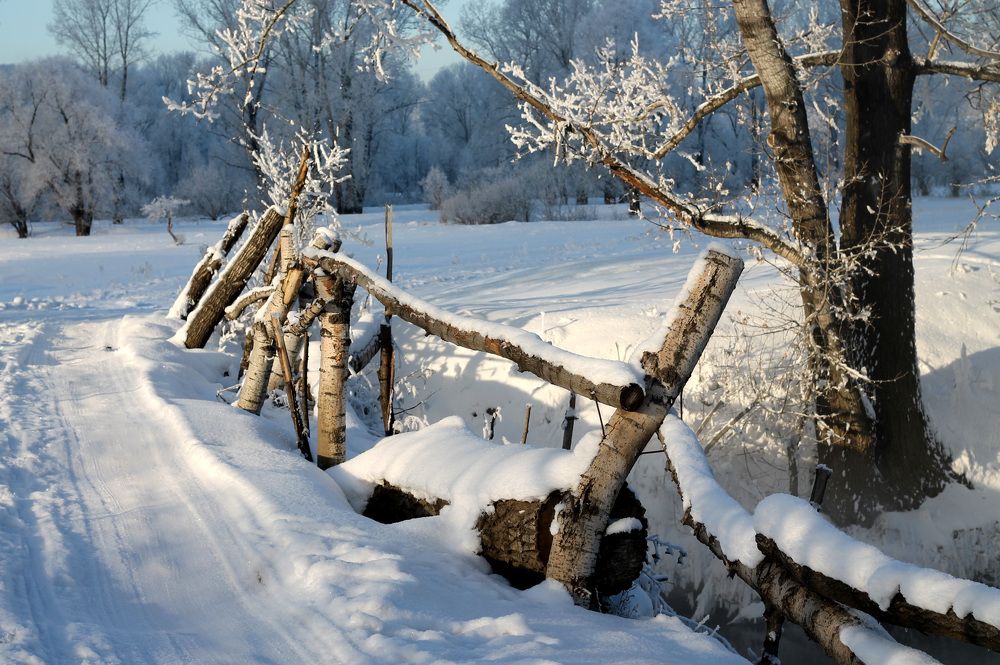 Фотография автора Любовь Харина