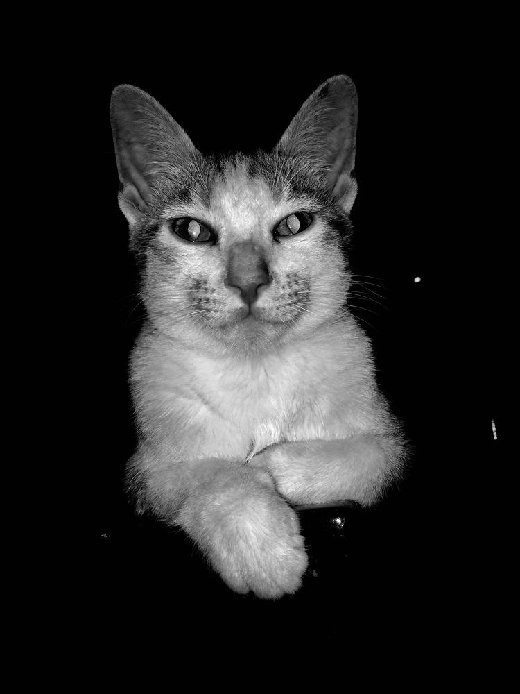 Photograph by Nguyen Long