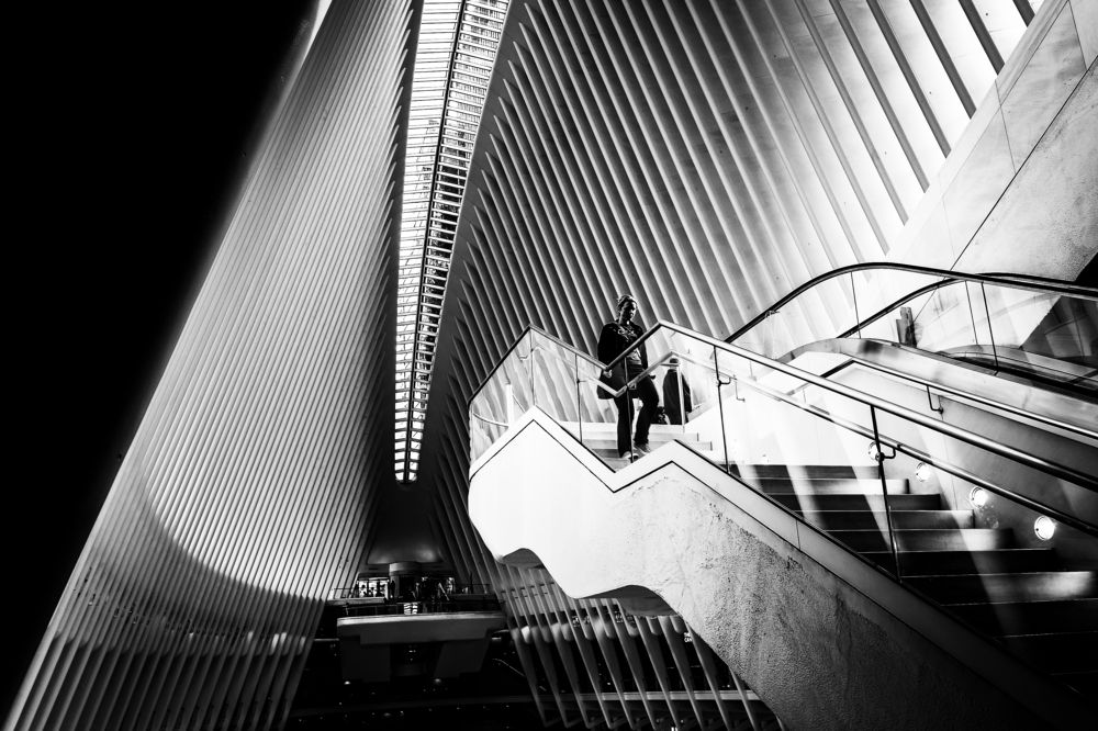 Photograph by Xavier Ponce