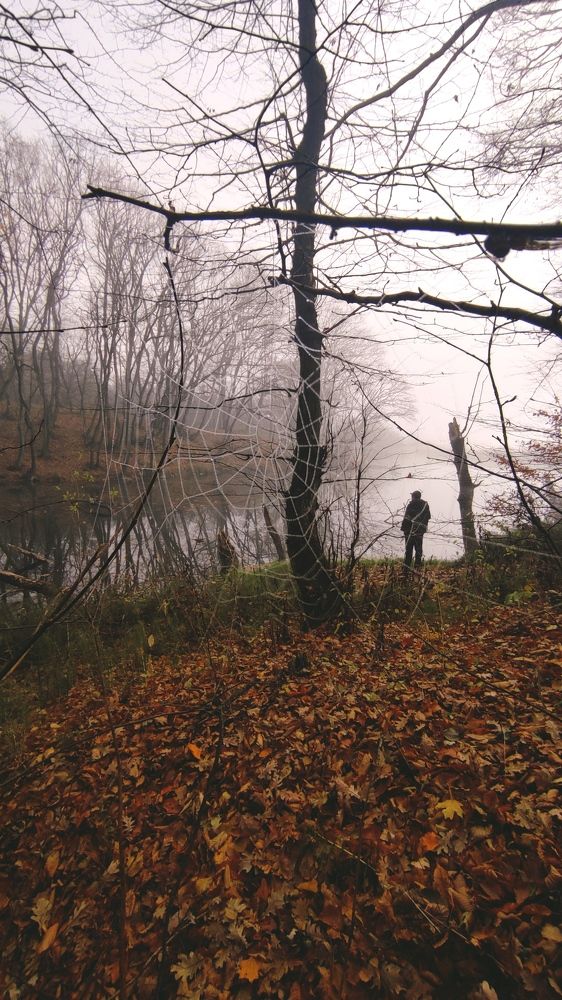 Photograph by Ирина Подосинникова