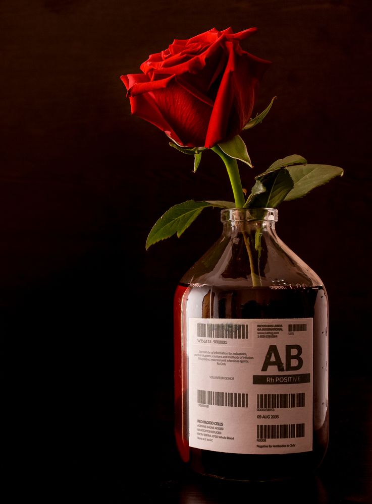 Photograph by Александр Литвиненко