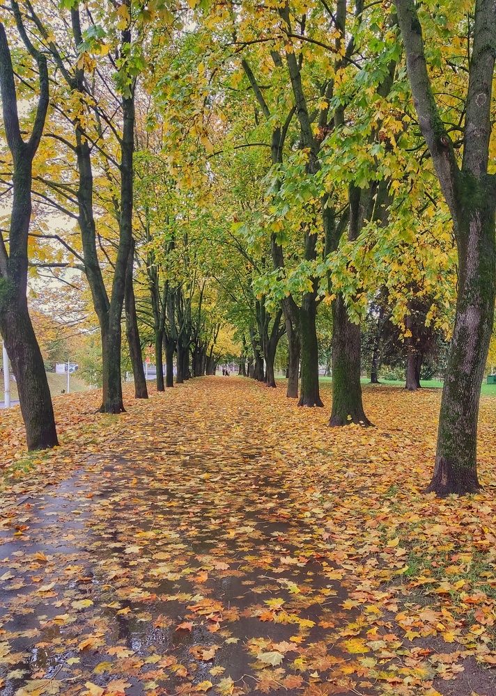 Photograph by Влад Барышов