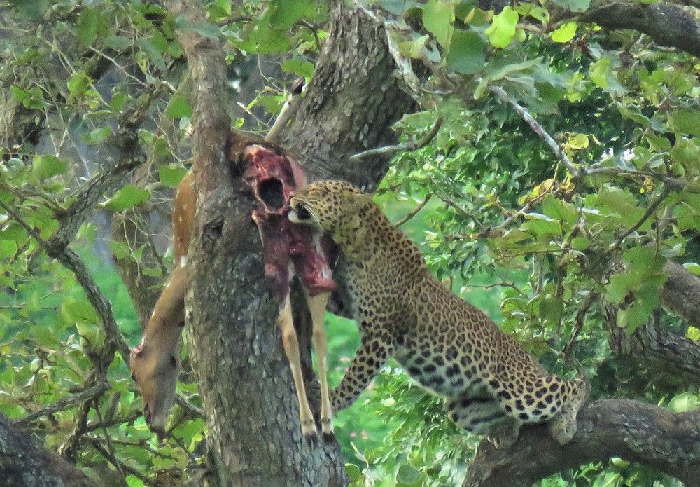 Photograph by ANISH BISWAS